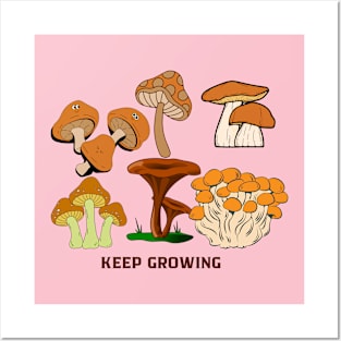 various kinds of mushrooms Posters and Art